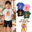 Áo thun bé trai in hình Cá tính Vải mềm mại bé từ 2-12 tuổi