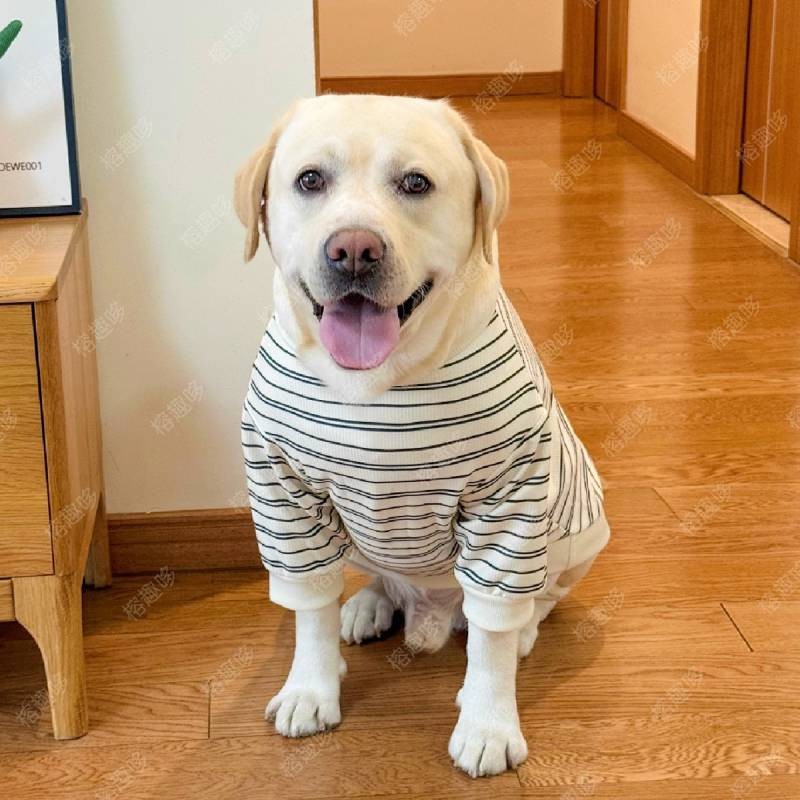 【Ready Stock】 Medium Large Dog Autumn and Winter Striped Clothes Cute Three-Dimensional Puppy round Neck Sweater Labrador Samo Golden Retriever/Border Collie wL9W