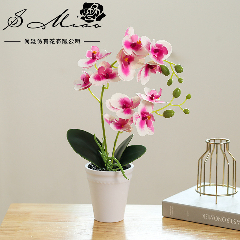 Chậu Hoa Lan Hồ Điệp Trắng Giả | Trang Trí Thanh Lịch Cho Nhà & Văn Phòng