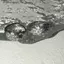 VFZ Thời Trang Retro Zircon Pha Lê Pentagram Tai Bule Bông Tai Xu Hướng Đơn Giản Ngôi Sao Vòng Bông Tai Nữ Bé Gái Thẩm Mỹ Trang Sức Quà Tặng OTE