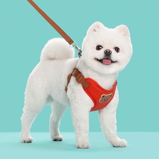 Loại dây đeo cho chó nhỏ cỡ vừa