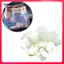 130 Miếng Kim Sa Lấp Lánh Tròn DIY Flat Sequin Paillettes Để Làm Đồ Trang Sức