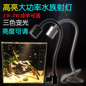 🔥phụ kiện bể cá cảnh Bể Nam Mỹ Đèn Gắn Bể Cá Mini Bể Cá Nam Mỹ Sẵn Sàng Đèn led Kẹp Ánh Sáng Trang Trí Cảnh Quan Sanhu Bản Địa Thủy Sinh Vật Bể Cá Rùa Sấm Rồng Chiếu Sáng Spotlight