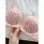 Quần lót ren khóa phía trước gợi cảm của người Mỹ Châu Âu Tập hợp ngực nhỏ Liền mạch Áo ngực lưng đẹp Không có vòng thép Áo ngực chống chảy xệ