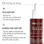 Serum Ekseption Hyaluronic PHA 75ml | Serum Tái Tạo Da Mềm Mịn Căng Bóng