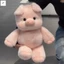 Đồ chơi nhồi bông lợn bê chạy bộ - Gối ngủ êm dịu Búp bê gấu trúc