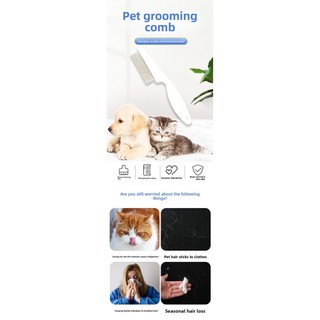 Lược chải lông làm sạch thú cưng Loại bỏ bọ chét