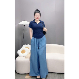 Set Đồ Bigsize Nữ Thanh Lịch Áo Kiểu Polo Cổ Bẻ Vạt Bầu Kèm Quần Đũi Suông Lưng Chun Mềm Mát - SET( G120+Q564)