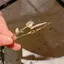 HNKMP Vòng Tay Zircon Tulip Tinh Tế Cho Nữ Bé Gái Thời Trang Cá Tính Hàng Ngày Phụ Kiện Trang Sức Sinh Nhật Quà Tặng Kỷ Niệm.