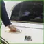 Ốp Lưng Dán Cho Ô Tô Thẩm Mỹ Ốp Lưng Decal Ngộ nghĩnh Ốc Miếng Dán Chống Thấm Nước Dễ Thương Đa Năng Xe Tải wipqsvn