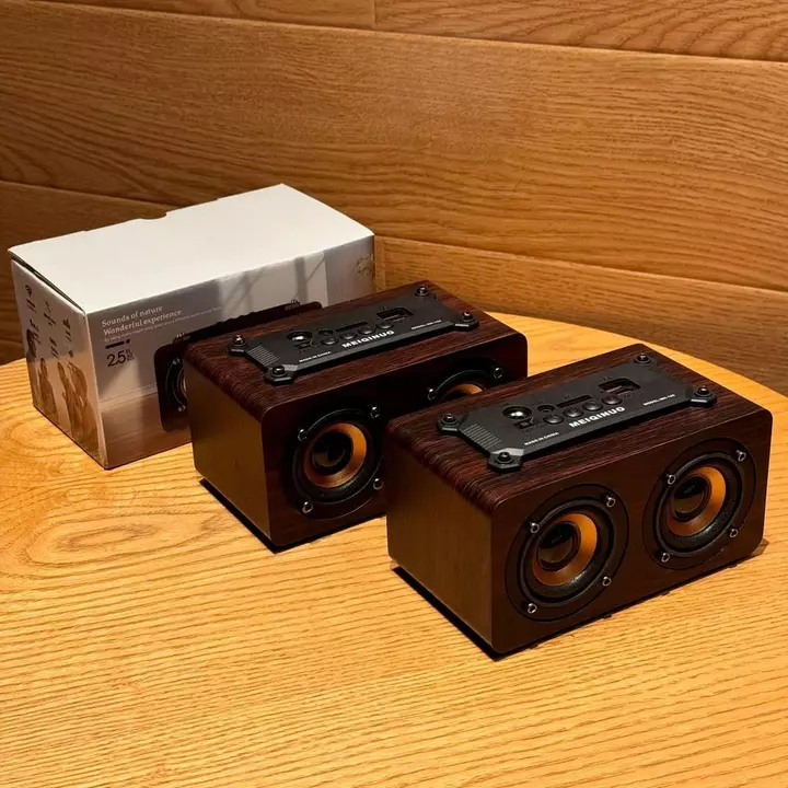 Computer Speakers – Wireless, Compact – 5