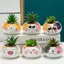 DARON Chậu Hoa Mèo Sáng Tạo Hoa Trồng Vật Trang Trí Handmade Gốm Sứ Phụ Kiện Cây Cảnh