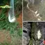 Lưới Câu Lưới Lưới Dạ Quang Lưới Hạt Lưới Cá Biển Dụng Cụ Câu Cá Bãi Cỏ Đồng Đúc Gill Ăn Dụng Cụ Câu Cá [MỚI]