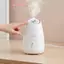 Máy hấp mặt trái cây và thảo dược 3 trong 1 Thiết bị làm sạch FacIal Nano er Hydrat hóa cho phụ nữ Làm đẹp tại nhà