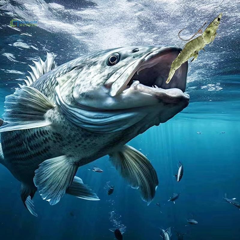 [Dream] 5 Móc Câu Cá Trực Tiếp Grouper Lưỡi Câu Thép Gai Có Lò Xo Cố Định Bass Biển Thép Carbon Lưỡi Câu Sắc Nét 2 / 0#3/0#4/ 0 # Size mới