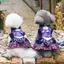 QUẦN Khăn Cho Chó Mèo QEARY, Vintage Có Thể Điều Chỉnh Zhuang Phong Cách Dân Tộc Đầm Thú Cưng, Sáng Tạo Thoải Mái Mềm Giả Bạc Trang Sức Thú Cưng Trang Phục Hóa Trang Đảng Cosplay