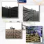 MAKY 10 Cái / lốc Mini Carabiner Móc Khóa Cắm Trại Tiện Ích Sinh Tồn Thiết Bị Móc Chụp Leo Núi SF Mùa Xuân Bapa Gear VN