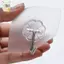 10 CÁI Móc treo tự dính chắc chắn bằng thép không gỉ trong suốt Móc treo chìa khóa cho nhà bếp Phòng tắm Tường cửa đa chức năng ELWW