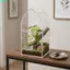 Hộp bò sát Acrylic QEARY, Terrarium nhện thông gió trong suốt, Khóa khóa vỏ thằn lằn Hộp đựng thức ăn bò sát chống thoát hiểm Jumping Spider Habitat