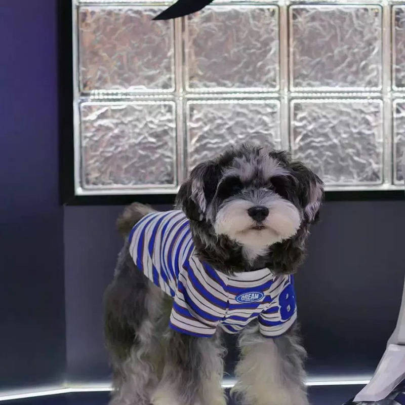 【Ready Stock】 Trendy Brand Dog Clothes Spring and Summer Thin Cat Jarre Aero Bull Bichon Schnauzer Teddy Striped New Striped Clothes VaD8