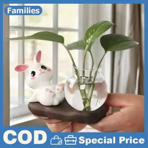 Thỏ Dễ Thương Bình Thủy Canh Bình Thủy Tinh Trong Suốt Bình Thủy Tinh Để Bàn Trang Trí Bình Hoa Thủy Sinh Có Đế Gỗ