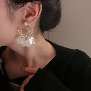 Bạc 925 Kim Zircon Vỏ Tua Rua Bông Tai Thời Trang Hình Chữ C Phóng Đại Bông Tai Siêu Cổ Tích Bông Tai Nữ