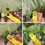 Pet Paw In Dập Nổi Tem Cho Tự Làm Nghệ Thuật Động Vật Độc Đáo Công Cụ Dập Dấu Chân Cho Quà Tặng Handmade Tùy Chỉnh
