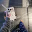 Gấu mặt cười chấm bi Thích hợp cho vỏ điện thoại Apple 17PROMAX Cửa sổ lớn iPhone16 Mềm 15 trọn gói 1426.3.22