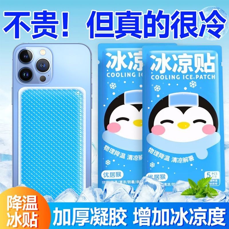 Nhãn dán làm mát và làm mát điện thoại di động băng lạnh ngoài trời mwiuwyw1.my20251012