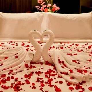 100 Cánh hoa hồng giả nhân tạo - Mô phỏng đầy màu sắc Hoa hồng lụa Trang trí tiệc lãng mạn