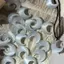 PNPIA- Dễ Thương Phong Cách Cổ Tích Mặt Trăng Mặt Dây Chuyền Xương Đòn Dây Xích Nelace Thích Hợp Cho Nữ Trang Sức Phụ Kiện Quà Tặng