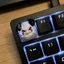 Btsg Nhựa Artisans Keycap Với Bulls Thiết Kế Đánh Bóng Mịn Cảm Giác Cho Chơi Game Và Văn Phòng
