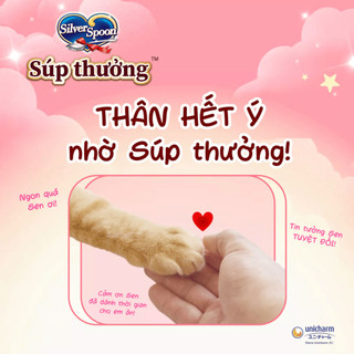 [ Combo Ngáo Siêu Rẻ ] Silver Spoon soup thưởng Nhật Bản Cho Mèo Mọi Lứa Tuổi - Gói 8 Thanh x 6g