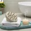 < YEI > Bàn chải màu để massage toàn thânXeridian FocusPerfect cho vẻ đẹp và sức khỏe gia đình Mới