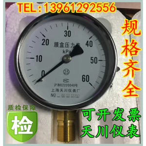 Thượng Hải Tianchuan Nhạc Cụ / Hộp Phim Đồng Hồ Đo Áp Suất YE-100 Micro Đo Áp Suất Đồng Hồ Đo Áp Suất Khí Tự Nhiên Khí 60kpa