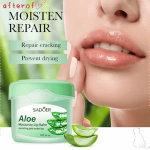 Kem dưỡng môi lô hội AFTEROF, Son dưỡng môi dưỡng ẩm hoa cúc chống nứt, Dây chuyền sửa chữa lâu trôi Chăm sóc môi bơ Chăm sóc môi môi môi