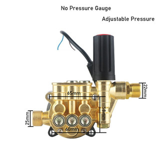 Bộ Đầu Bơm Máy Rửa Xe Mini APEX - Cao Áp, Chỉnh Áp, Gia Đình, Kèm Rơ Le Điện