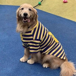 【Ready Stock】 Large Dog Labrador Golden Retriever Alaska Samoyed Handsome Pet Clothes Thin Clothing T-shirt qUhX