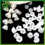 SWEET 100 Chiếc Trong Suốt Acrylic Hạt Hoa Tulip Hoa Lily Of The Valley Để Trang Sức Làm Vòng Tay DIY Nelace n