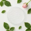 CATMALLER88 Vase Grid Insert, Dụng cụ sắp xếp hoa Dụng cụ cố định ống hút thực vật Giá đỡ sắp xếp hoa, Giá đỡ sắp xếp DIY Hỗ trợ hoa Dụng cụ sắp xếp hoa có thể tái sử dụng