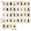 Vintage Beetle Chân Dung Bưu Thiếp Bộ 36 Chiếc Gói Thiệp Chúc Mừng Chất Lượng Cao Cho Những Người Yêu Xe Hơi Và Chủ Đề Retro