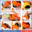 Hướng dẫn sử dụng Băng keo sàn Ba phần Thanh Công cụ đánh dấu băng có thể tái sử dụng để trang trí bãi đậu xe đường lái xe