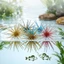 3-10 Cái Mồi Câu Cá Mềm - Dành Cho Cá Hồi, Bass, Crappie - Mồi Urchin Biển Nổi TPE - Dụng Cụ Câu Cá - Mồi Nhân Tạo Có Nhiều Lều / Miễn Phí Ship