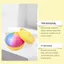 QEARY Hấp Bun Bóp Đồ Chơi, Với Hấp Màu Cầu Vồng Hấp Bun Squishy Đồ Chơi, Văn Phòng Thông Hơi Mềm Mại Dễ Thương Hình Dạng Thực Phẩm Fidget Đồ Chơi Cảm Giác Ủng Hộ Tiệc