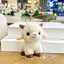 Giả Tân Cương Cừu Nhỏ Sang Trọng Móc Khóa Búp Bê Cừu Dễ Thương Mặt Dây Chuyền Đồ Chơi Nhồi Bông Mềm Văn Hóa Sáng Tạo Lưu Niệm Cho Bạn Bè