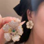 Thời Trang Hàn Quốc Cá Tính Sang Trọng Zircon Tinh Tế Phong Cách Mới Sang Trọng Bông Tai Sang Trọng Bán Buôn