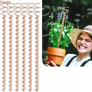 THEGIRL8B Làm Vườn Đồng Cuộn Dây Ăng Ten, Dây Cuộn Dây Thanh Gỗ Điện Trồng Cây Cọc, Cây Cảnh Đồng Cây Cảnh Cố Định Cây Cảnh Cây Cảnh