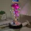 MAKY Life Flower Glass Cover Hoa hồng Quà tặng ngày lễ tình nhân Đèn Led Đồ trang trí Giáng sinh VN
