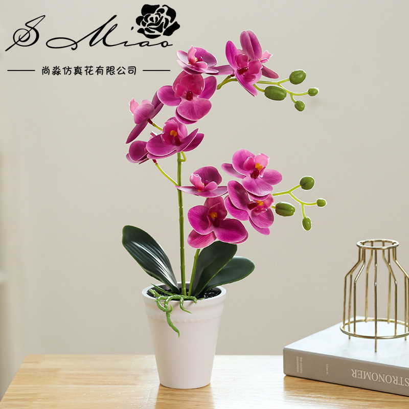 Chậu Hoa Lan Hồ Điệp Trắng Giả | Trang Trí Thanh Lịch Cho Nhà & Văn Phòng