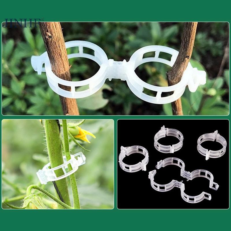 JINHF 100 Kẹp Nhựa Trong Suốt Cố Định Cây Leo, Hỗ Trợ Cà Chua, Nho, Trellis, Vườn